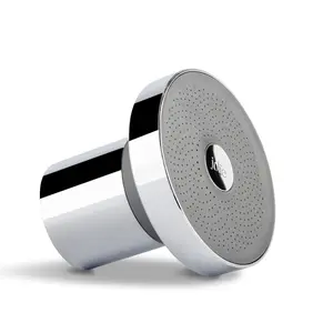 The Jolie Filtered Showerhead (With Subscription) The Jolie Filtered Showerhead (With Subscription)