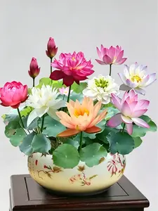 60 Pcs Mixed Rainbow Bowl Lotus Seeds - Vibrant Water Lily Seeds for Patio Ponds and Indoor Aquatic Gardening