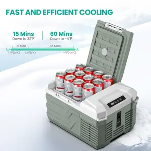 Alpicool NHS Portable refrigerator, (-4°F-32°F) 10 Quarts Cooler Compressor fridge,12/24V DC 110~240 Volt AC for outdoor, Camping Freezer, Truck, Home, Travel, Fishing