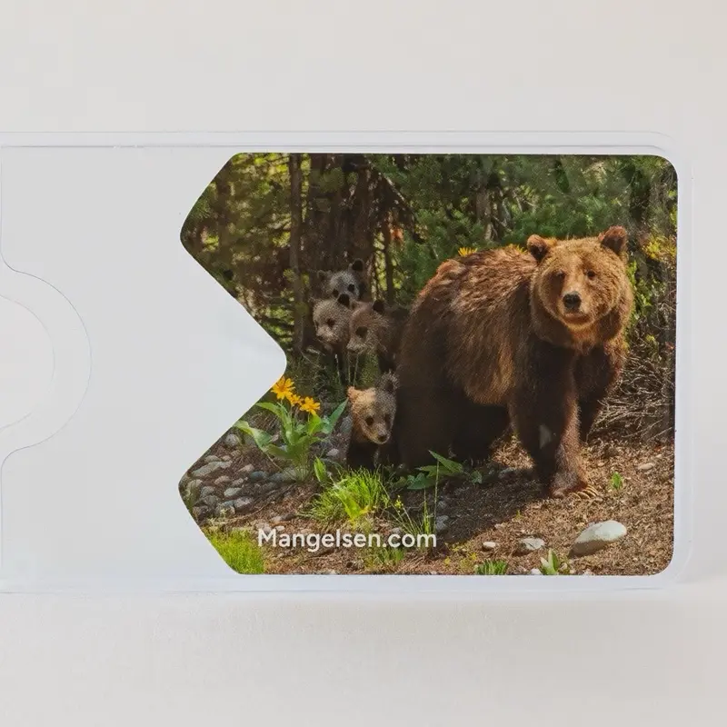 National Park Pass Sleeves by Thomas D Mangelsen- The Gift of Grizzly 399