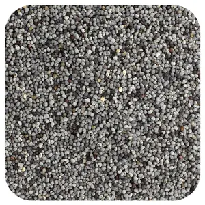 Frontier Co-op Organic Poppy Seed, Whole, 16 oz (453 g)