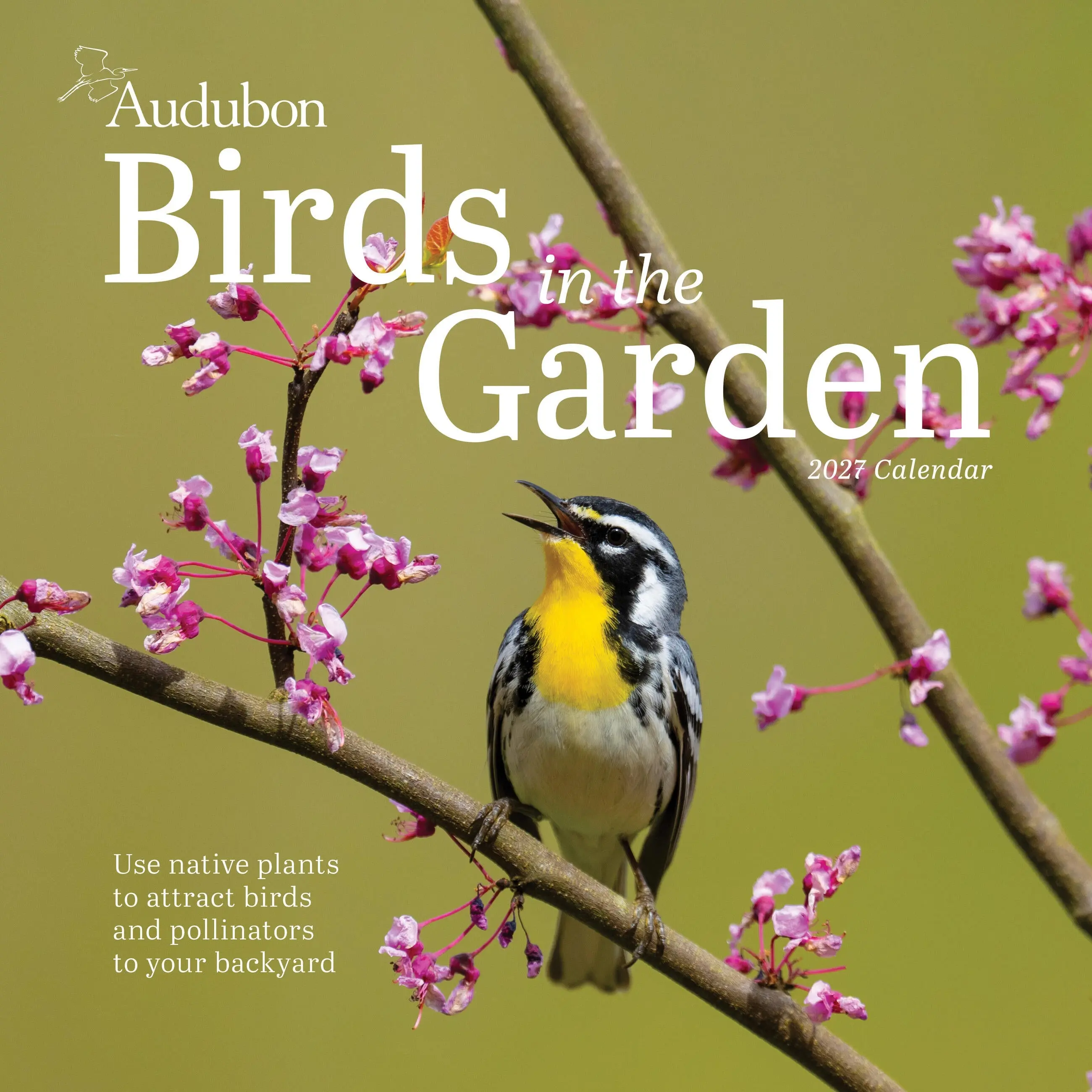 Audubon Birds in the Garden Wall Calendar 2027 by National Audubon Society, Workman Calendars