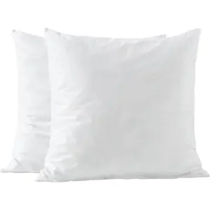 20x20 Pillow Inserts-Shredded Memory  Fill-High Density Throw Pillow Inserts with Long Support- Couch Hotel Collection- Fabric-2 Pack