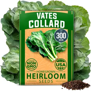 Vates Collard Seeds Pack (Brassica oleracea) - Your Go-to Nutritious Greens, High Germination Non-GMO Heirloom Vegetable Seeds for Any Garden, Vates Collard - Approx. 300 Seeds