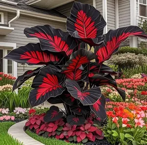 800 Count Flower Seeds – Grow Your Own Blooming Garden from Seeds Only