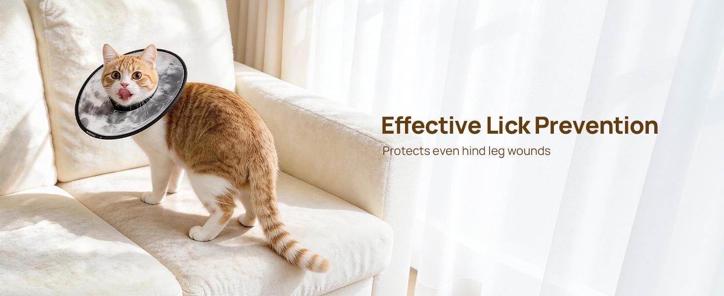 【SpringGlowUp】HICC PET Pet collar,Cute Cat  Waterproof Cat Recovery Collar,Anti-Bite Lick Wound Healing Safety Elizabethan e Collar for Cats,Purple Flower All-Season Style