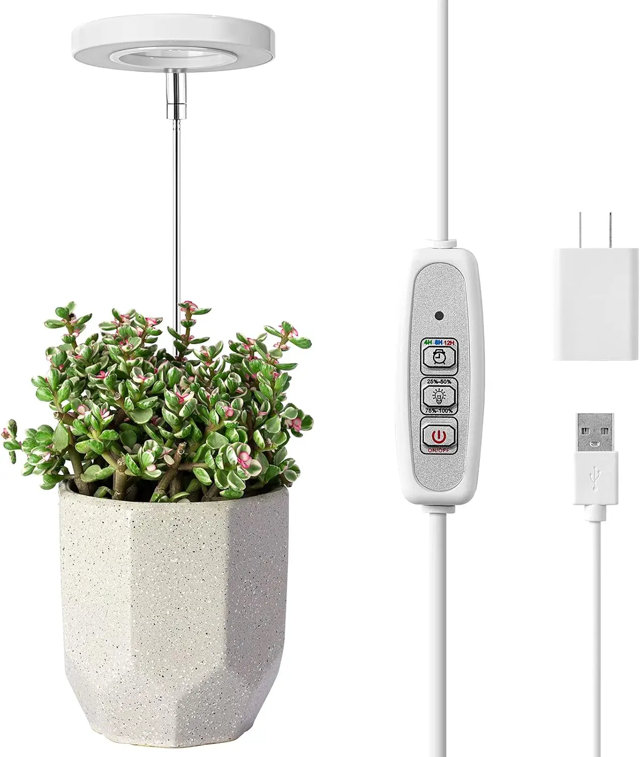 Low Heat LED Grow Light for Plant Shelves, Mount Full Spectrum Lamp with Auto Daily Cycle Timer, Supports Photosynthesis for Seedlings & Hydroponics