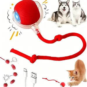Rolling pet ball