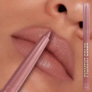 1PC Matte Finish, Vibrant Neutral Shades, 3D Lip Contour, 2-in-1 Lip Liner Lipstick for Fuller Lips, Perfect for Christmas and Holiday Parties