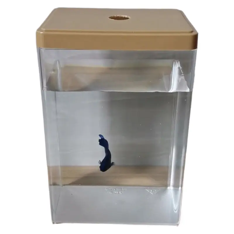 Small Thai Betta Fish Tank 19 Liters High Transparency Plastic Mini Single Tank for Desktop Use