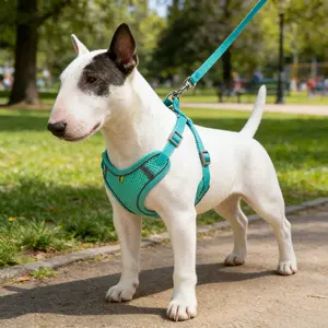 Spring/Summer New Arrival: Vest-style Pet Harness, Cool and Breathable Dog Leash, Reflective Dog Leash for Small and Medium-sized Dogs
