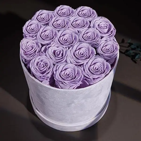 17 Flowers in a Luxury Suede Box, Birthday Gifts for Women, Real Preserved Flowers, Mothers Day Roses Gift for Mom, Lavender Decor Decorative
