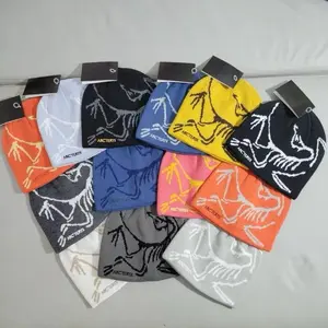 Arc'teryx Retro Style Knit Beanie Fernie Dino Patch Hat Comfortable Knit Material with Unique Dino Patch for Everyday Wear