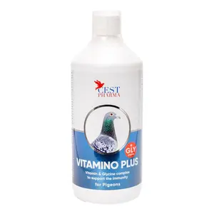 VIT AMINO PLUS 1L - Vitamins & Amino Acids for Pigeons