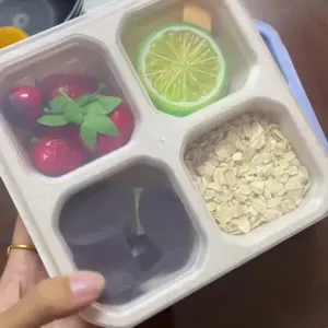 2-Pack Four Compartment Snack Box, Square Bento Box with Transparent Lid, Fruit Divider, Refrigerator Storage, Dustproof Seal Design