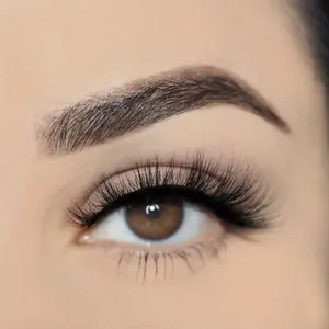 Rosa - False Eye Lash - Reusable Strip Lashes - Makeup and Beauty Accessories