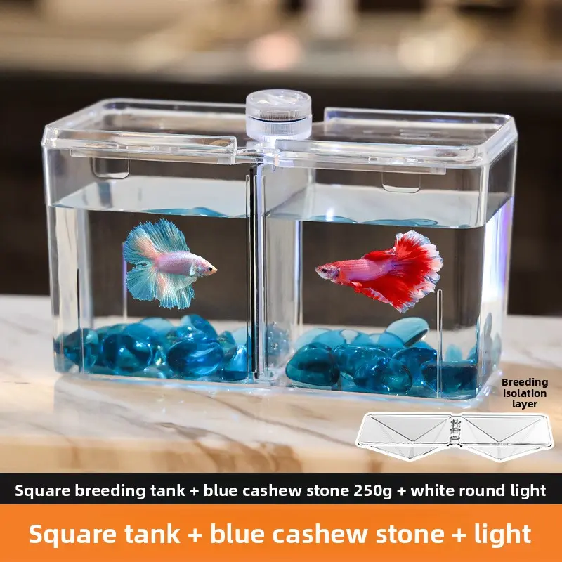 Breeding tank + blue cashew stone + light