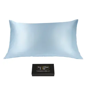 King-size 22 Momme Mulberry Silk Pillowcase, Zipper Closure, Sky Blue