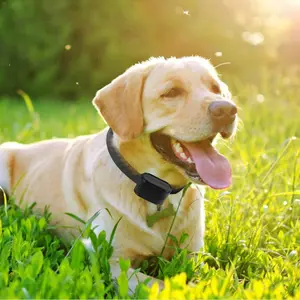 Electric Fence for Dogs, Underground Dog Fence System with 1/2/3 Rechargeable Waterproof Collars,Tone & Shock Correction,Wireless Containment System with 984FT Boundary Wire, Covers up to 1.2 Acre