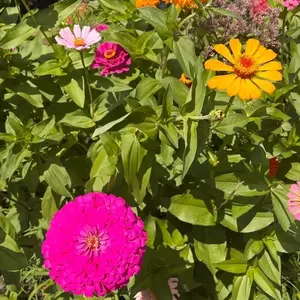 nerdyshirts shop logo