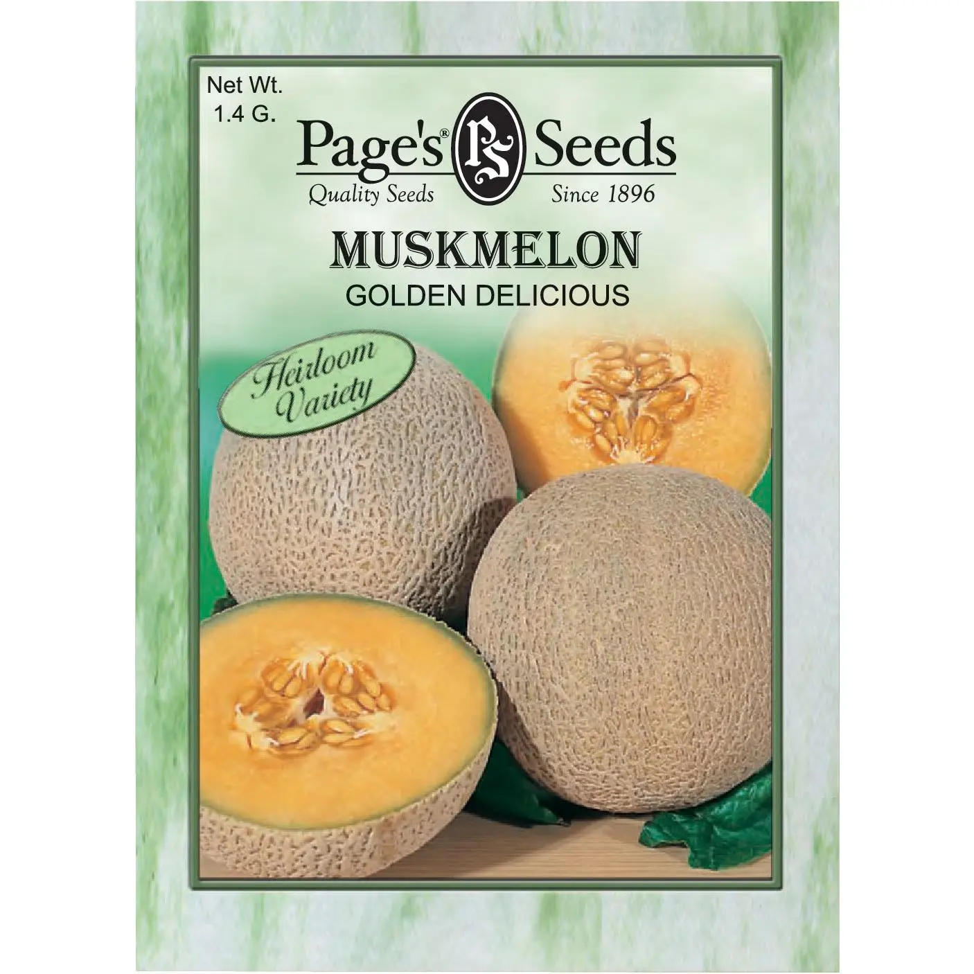Muskmelon golden delicious