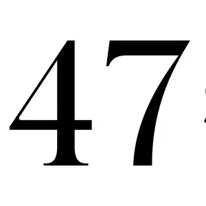 47 Skin USA shop logo