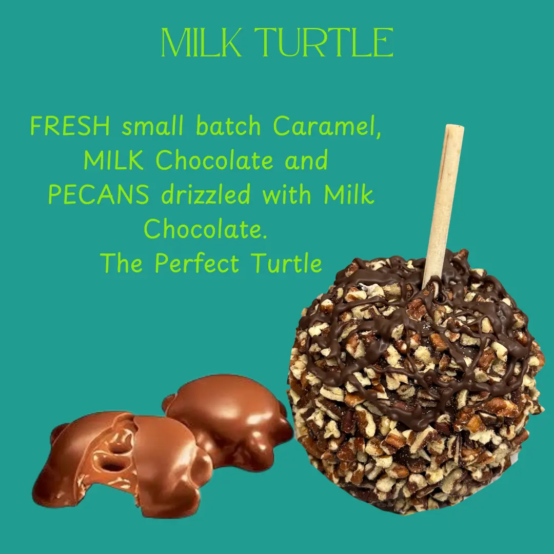 Copperpot Caramel Co Turtle Caramel Apple Chocolate Pecans and caramel