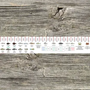CONNECTICUT STATE WATERS SALT WATER RULER 50 INCH FISH ID AND STATE REGULATIONS FISH RULER DECAL