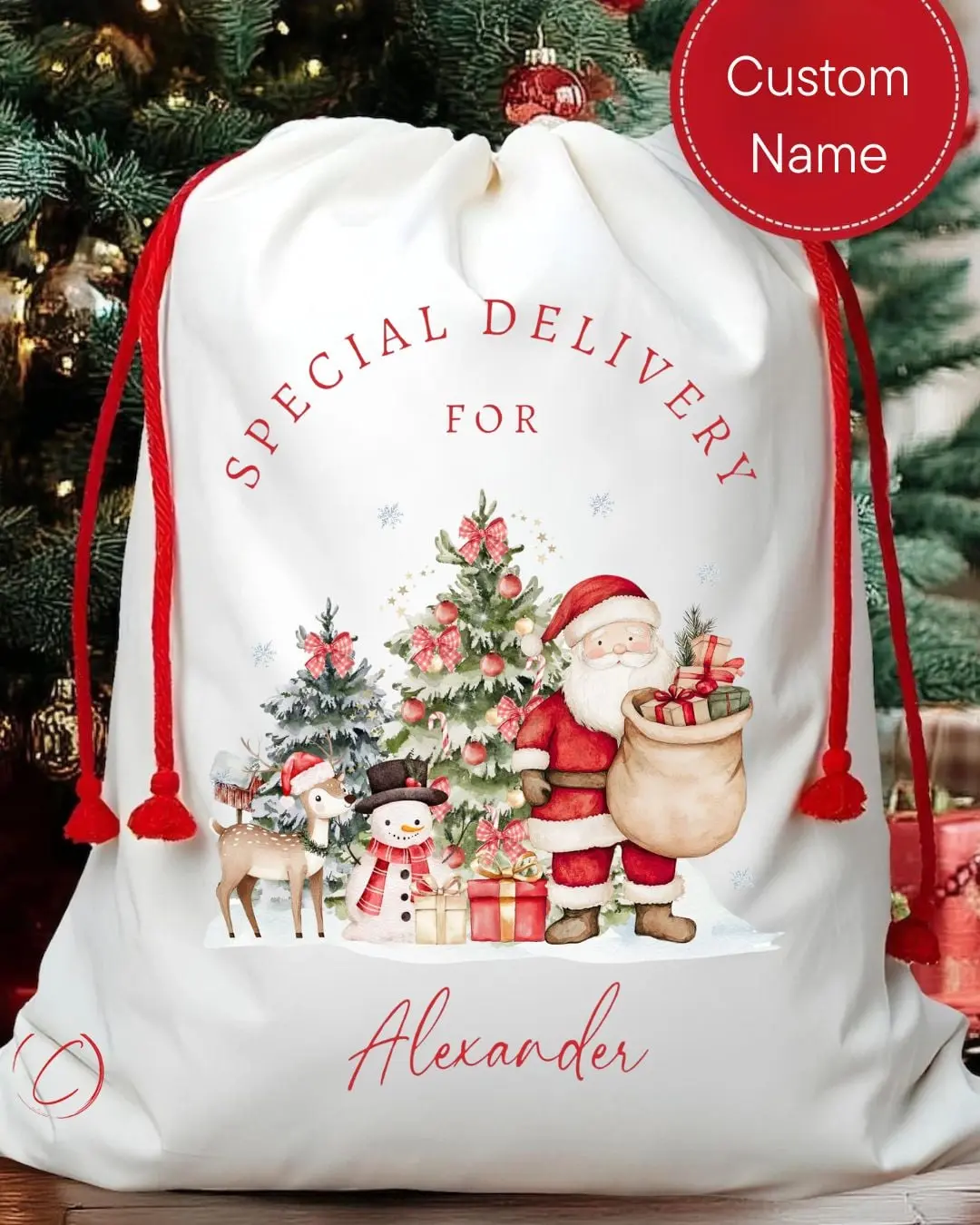 Custom Santa Sack- Special Delivery For