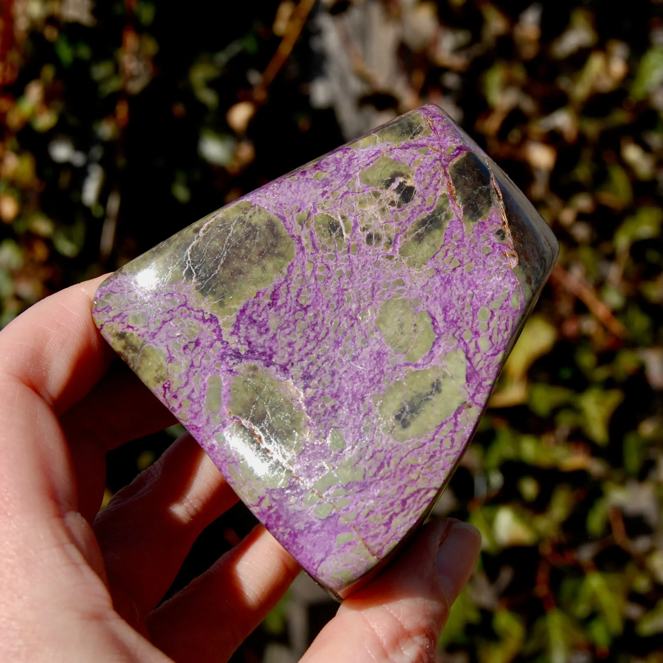 Large Intricate Atlantisite Stichtite Serpentine Crystal Freeform, 383g, South Africa