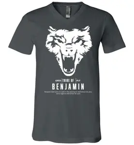 Benjamin V-Neck (Unisex) White Letter
