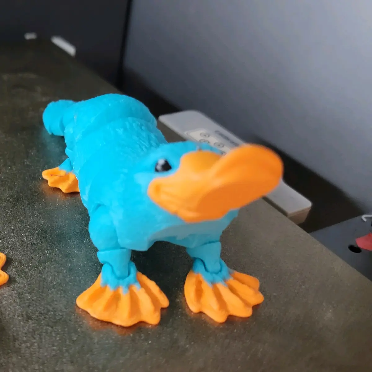 Perry colored Platypus