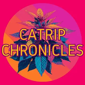 background preload poster image 