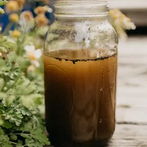Trident Farms Premium Compost Tea for Indoor and Outdoor Plants