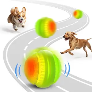Light Up Dog Ball – Rechargeable LED Interactive Fetch Toy, Waterproof Color-Changing Glow Ball for Night Play & Training
