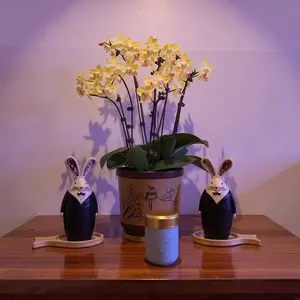 Celadon Porcelain Stash Jar – Light Green Ceramic Herb Storage Container