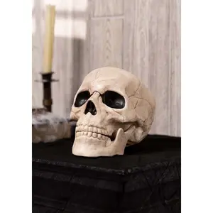 Glow in the Dark Skull Prop