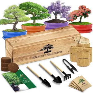 Bonsai Tree Starter Kit for Beginners - Indoor Live Plant Gardening Adult Craft DIY Kits - Unique Christmas, Birthday, White Elephant Gifts for Women, Men & Kids