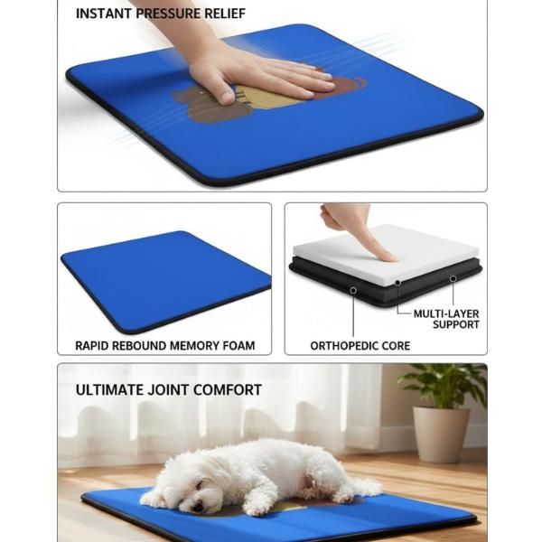 Triple Whisker Blue Mat - Cat Mat - Pet Mat