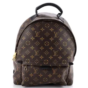 Pre-owned Louis Vuitton Canvas Coated Backpacks Palm Springs Backpack Monogram Canvas PM by Rebag