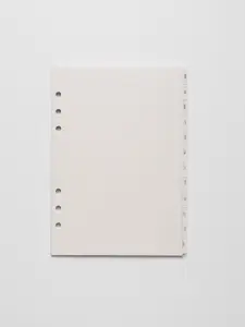 Vellum Side Tab Planner Dividers | Monthly