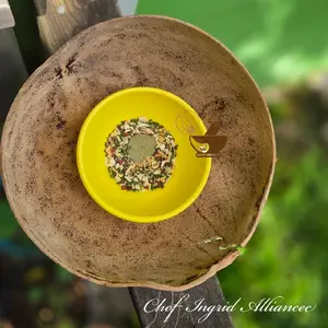 TanT'òya Epis Djanm/ Spices