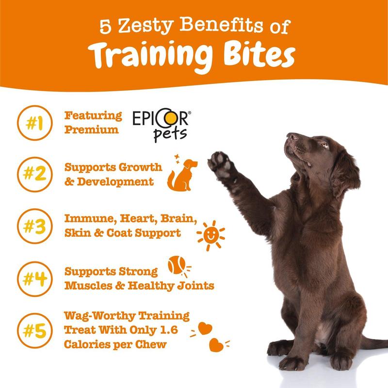 Zesty Paws All-in-One Training Bites for Puppies & Adult Dogs Soft Chew Immune Support Dog Treats with Omega 3 6 Fatty Acids for Skin Coat Supplements