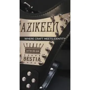 The "Metal" harness- Personalized!