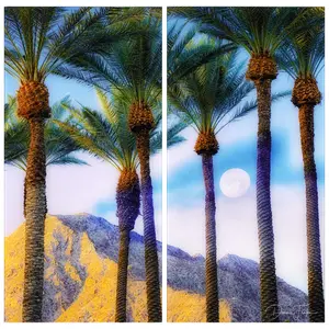 "Moonlit Oasis" Oversized 72"x 36" Frameless Free-Floating Reverse Printed Tempered Art Glass Panels Set