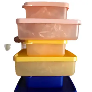 Tupperware Brands Square Away Snack Containers Set 2 Piece Durable Stackable Food Storage for Easy Meal Prep Large & Mini Options