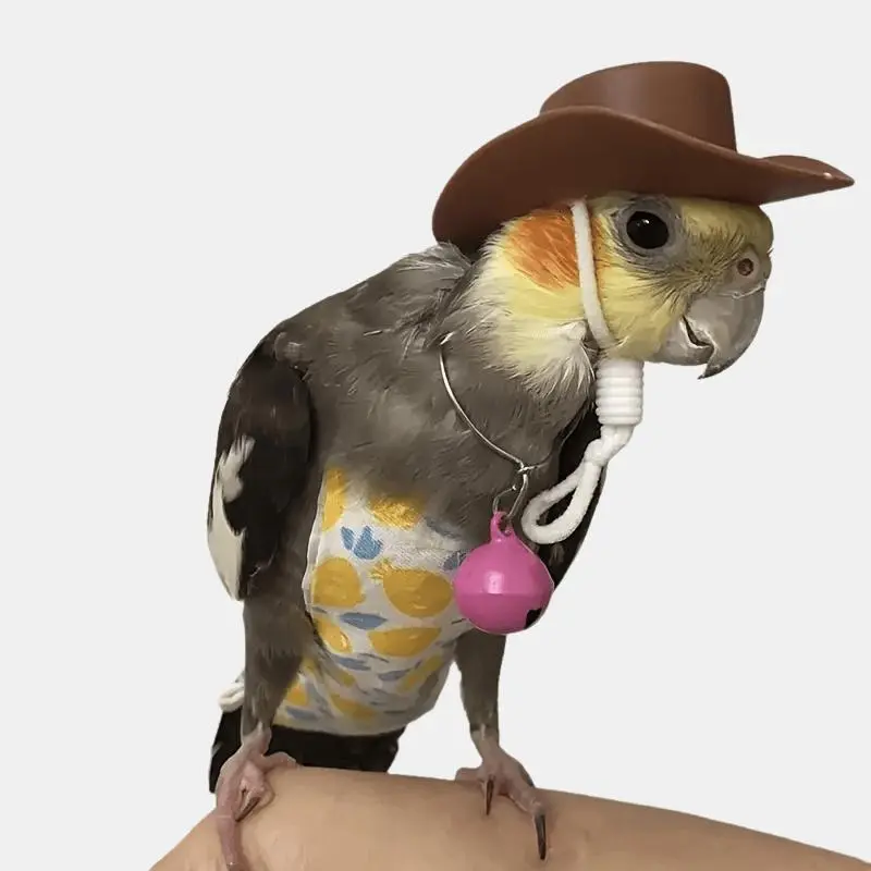 Mini Pet Western Cowboy Hat Costume Accessory with Adjustable Elastic String, Cute Small Animal Dress-Up Photo Prop Hat, Suitable for Parrots, Bearded Dragons, Horned Frogs, Hamsters, Small Reptiles Pocket Pets