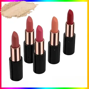Matte Lipstick Private Label Makeup Waterproof Smudge Proof Solid Lip Stick with Gloss Finish - Lipgloss Glaze 3-in-1 Nourishing Brenay Birthday Lipglosse Makeup Produ soft glam