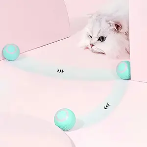Automated moving ball for pets
