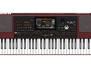 Korg Pa1000 61-Key Professional Arranger